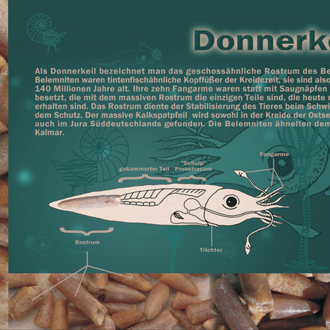 Postkarte Donnerkeil aus der Ostsee von Rügen