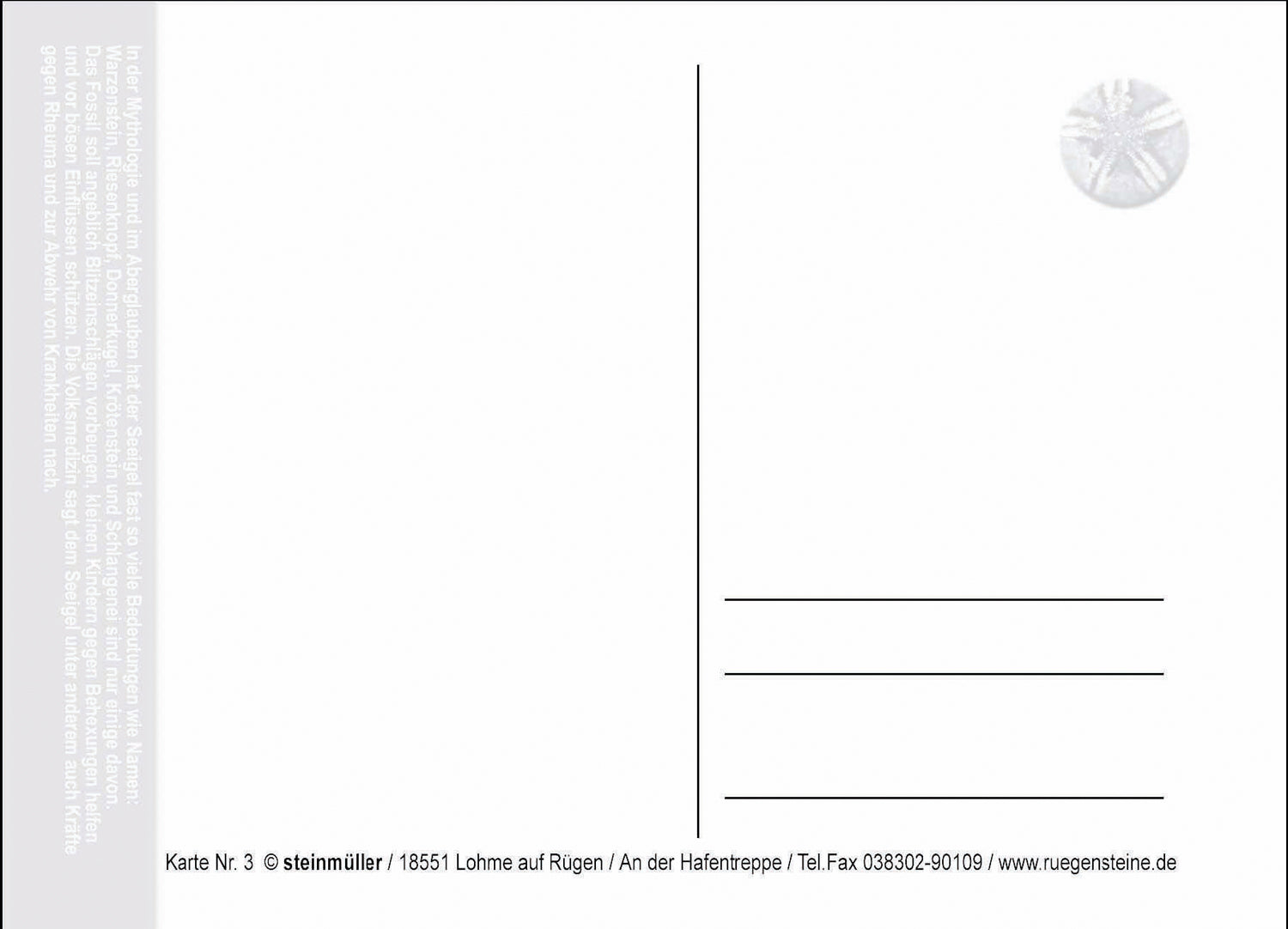 Postkarte Seeigel – maritimes Flair von Rügen