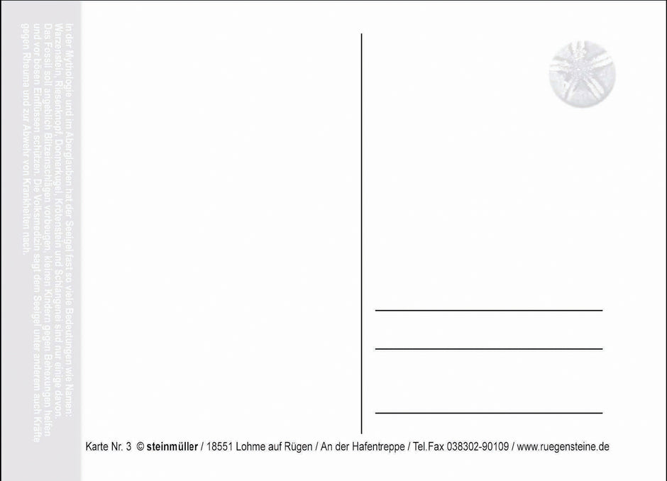 Postkarte Seeigel – maritimes Flair von Rügen
