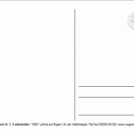 Postkarte Seeigel – maritimes Flair von Rügen