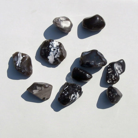 10 polierte Feuersteine in Grautönen von der Ostsee-Insel