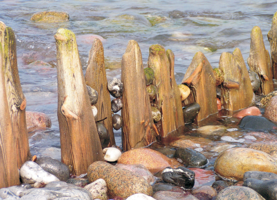 Postkarte Buhnen – Fotografie von der Insel Rügen
