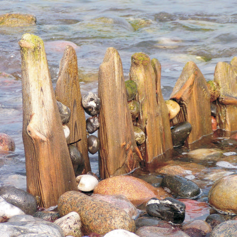 Postkarte Buhnen – Fotografie von der Insel Rügen