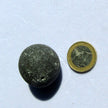 Klapperstein – Fossil von Rügen, das klappert