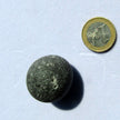 Klapperstein – Fossil von Rügen, das klappert