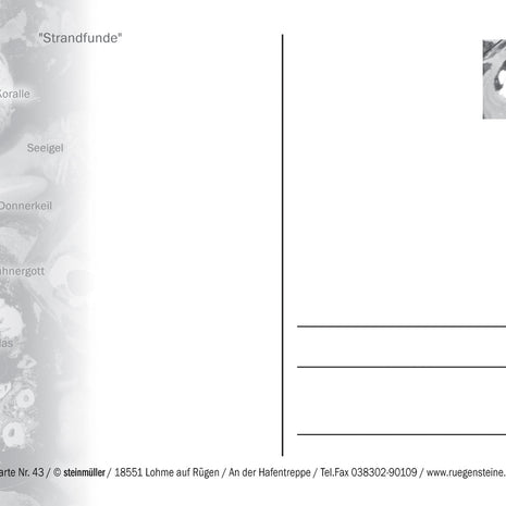 Postkarte "Strandfunde – Fossilien & Sammelschätze Rügen"