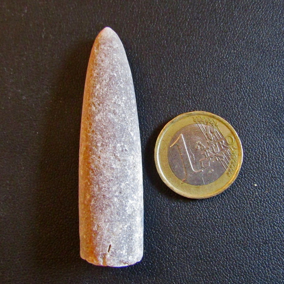 Donnerkeil – Belemnit aus der Rügener Kreide