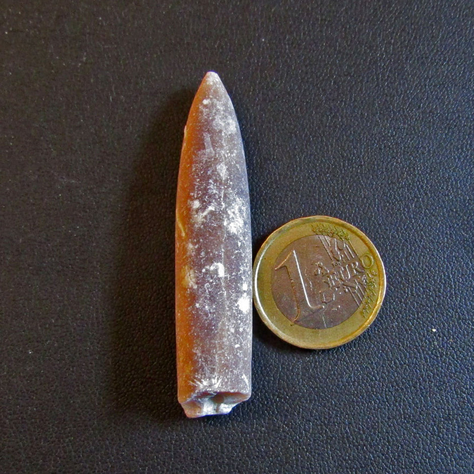 Donnerkeil – Belemnit aus der Rügener Kreide