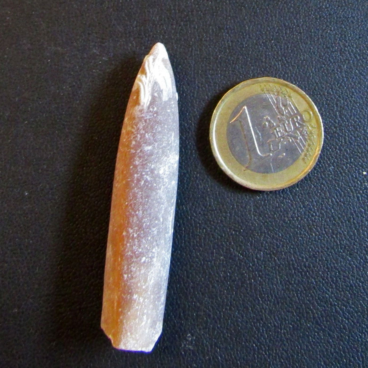 Donnerkeil – Belemnit aus der Rügener Kreide