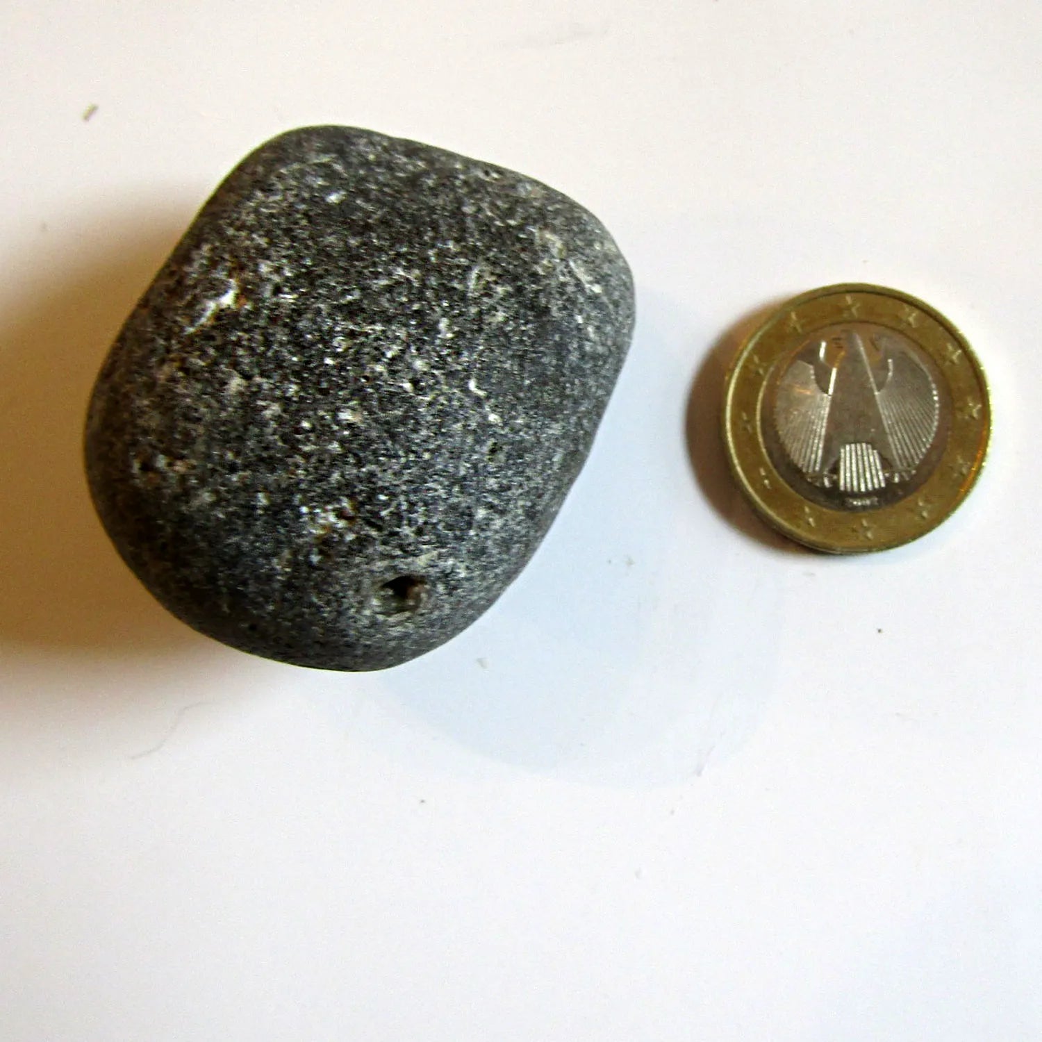 Kugelschwamm Plinthosella squamosa – Klapperstein von Rügen