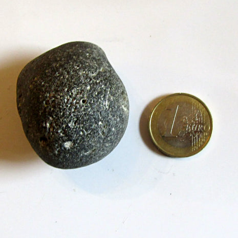 Kugelschwamm Plinthosella squamosa – Klapperstein von Rügen
