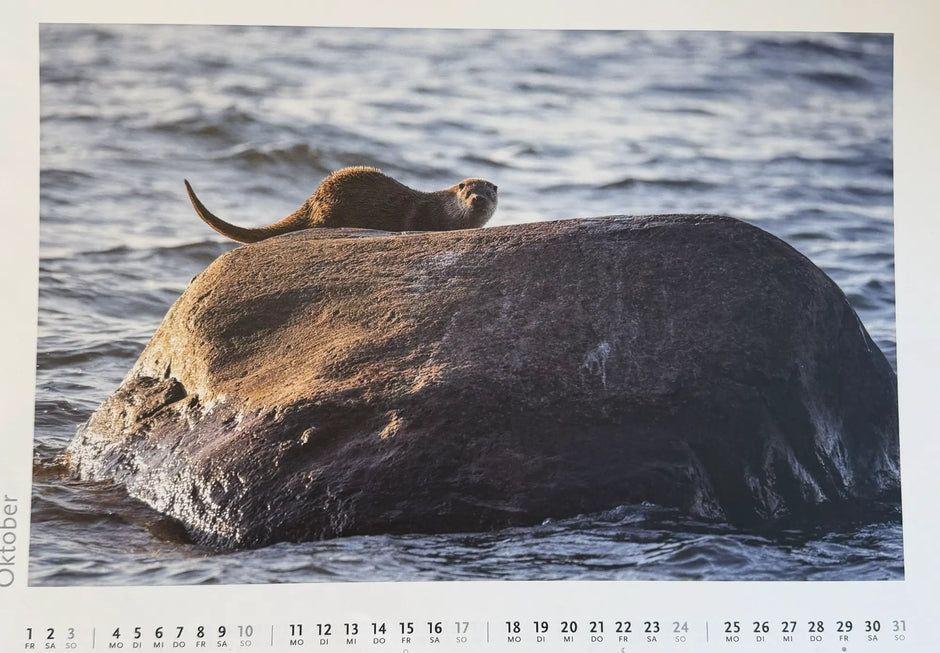 Insel Rügen 2027 – Kalender mit Fotografien von Karsten Bartel