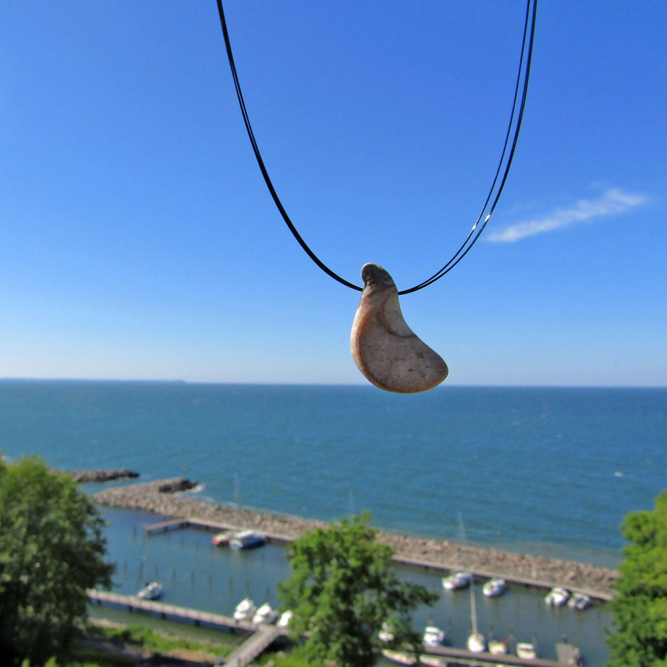Geschliffenes Orthoceras von der Ostsee-Insel Rügen
