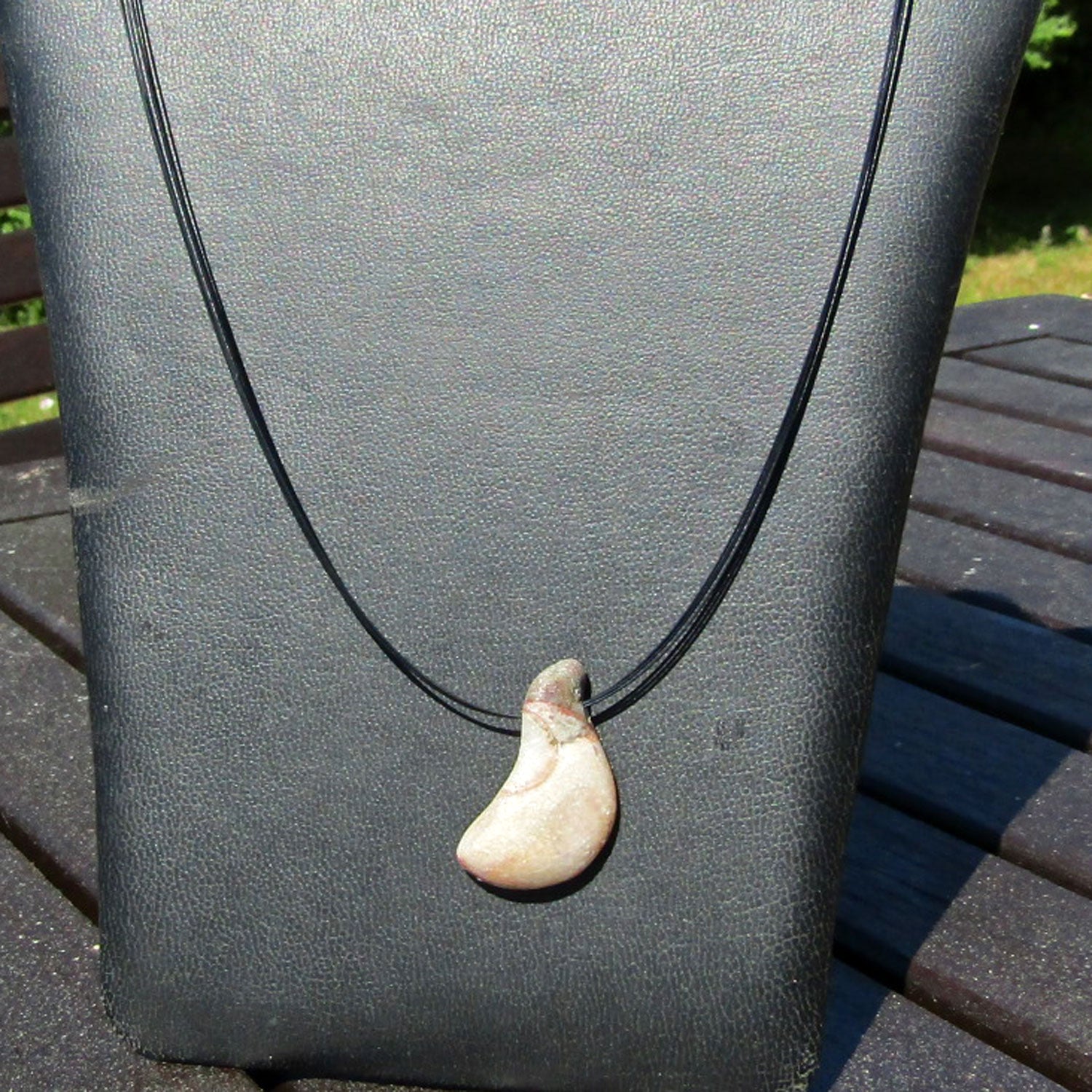 Geschliffenes Orthoceras von der Ostsee-Insel Rügen