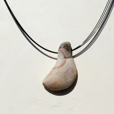 Geschliffenes Orthoceras von der Ostsee-Insel Rügen