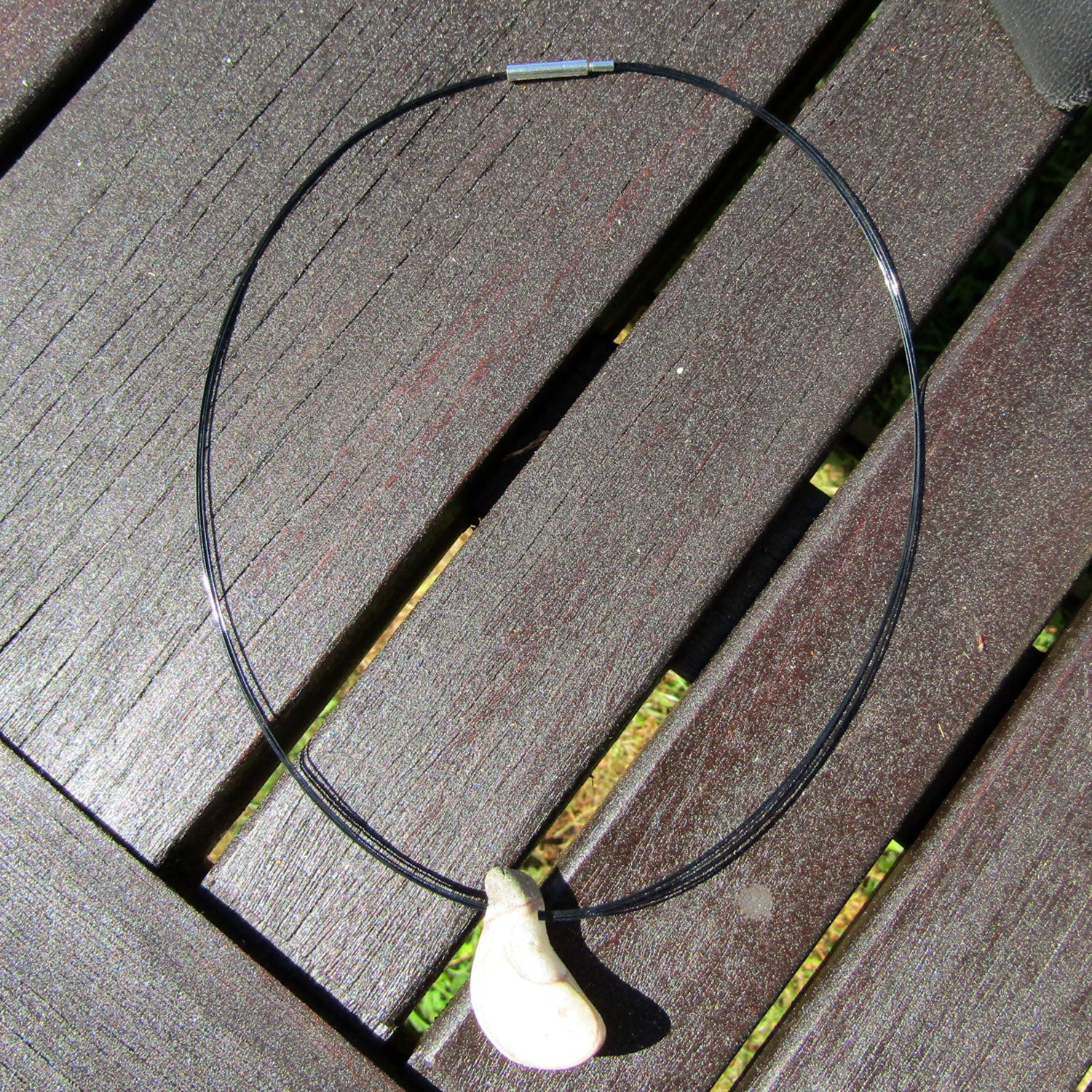 Geschliffenes Orthoceras von der Ostsee-Insel Rügen