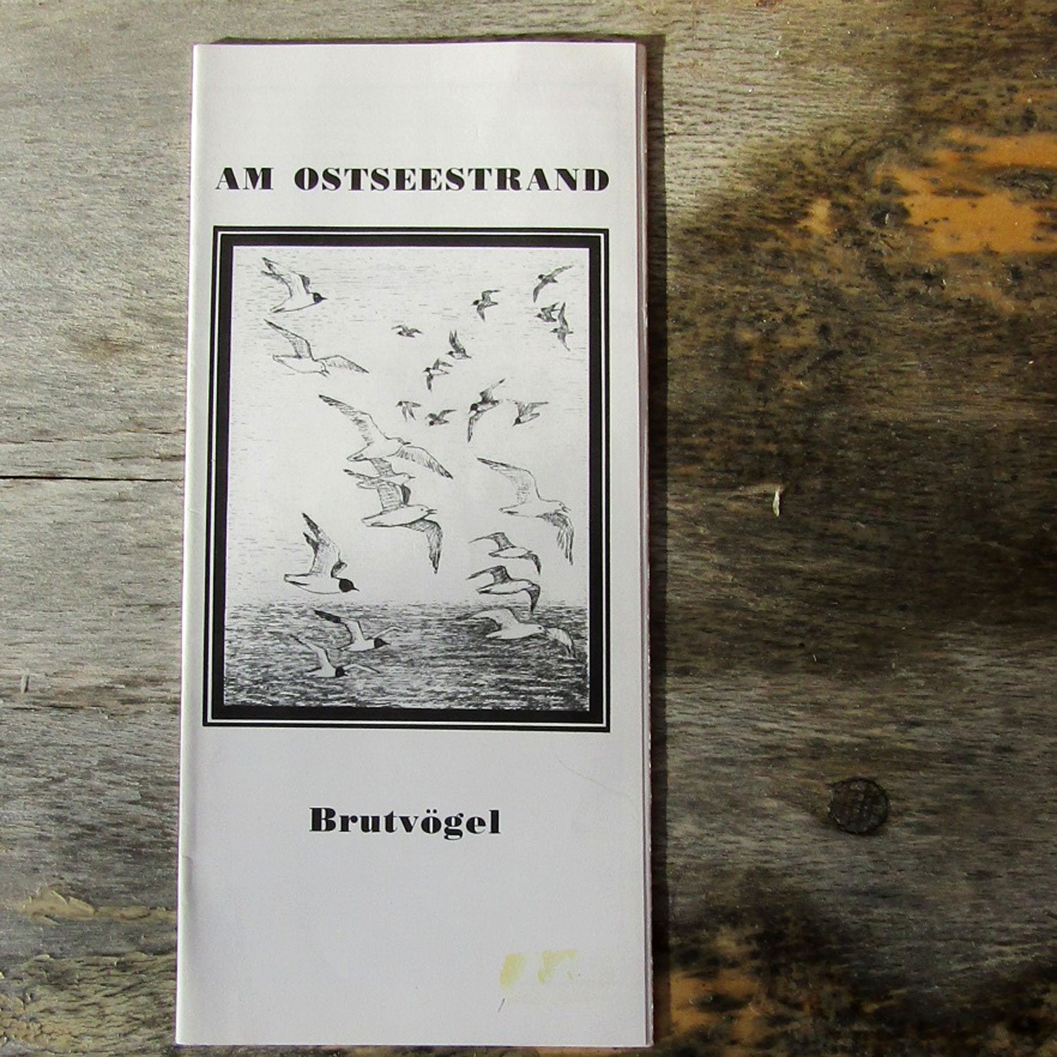 Faltblatt Am Ostseestrand / Brutvögel – Einzigartig
