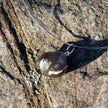 Fossil-Anhänger Brachiopode aus Feuerstein und Silber