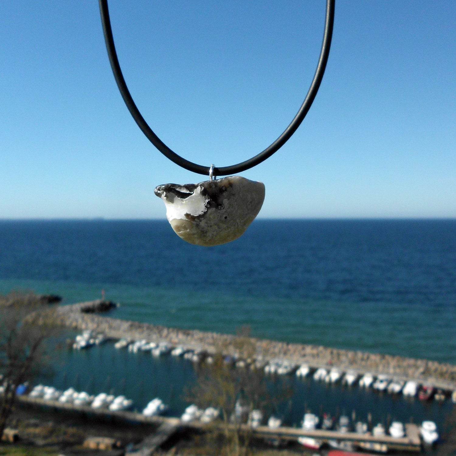 Anhänger versteinerte Dickmuschel Auster