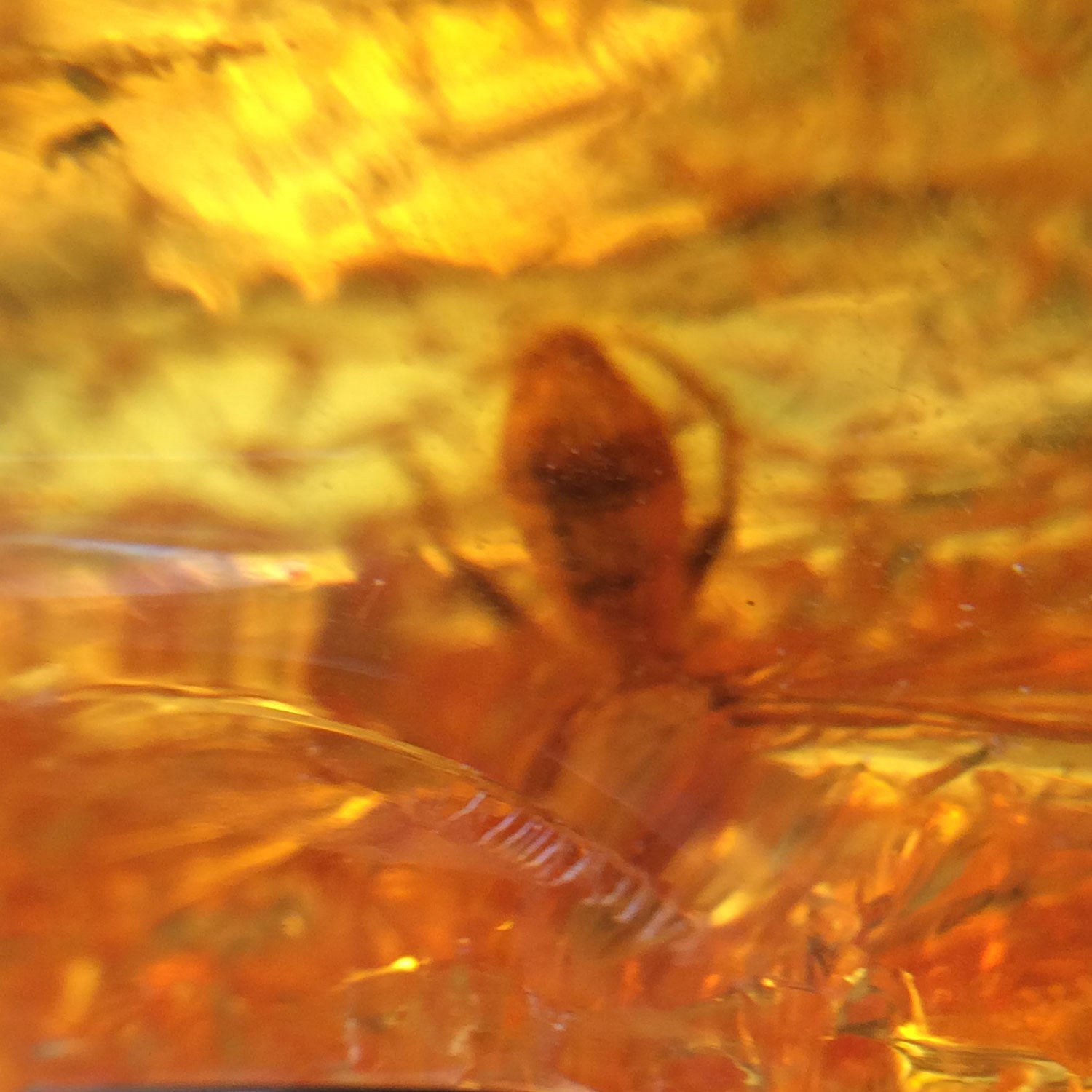 Anhänger Bernstein mit Inkluse( Käfer , Spinne ?)