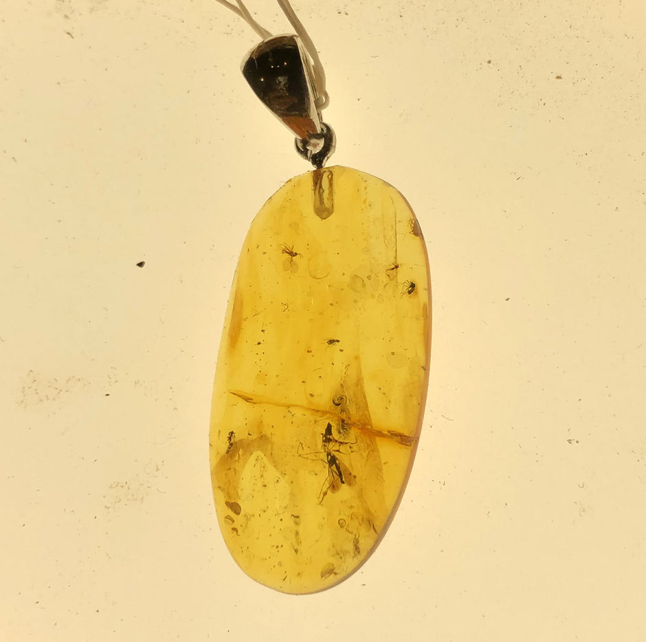 Großer Anhänger aus Bernstein mit Fliege von der Insel Rügen