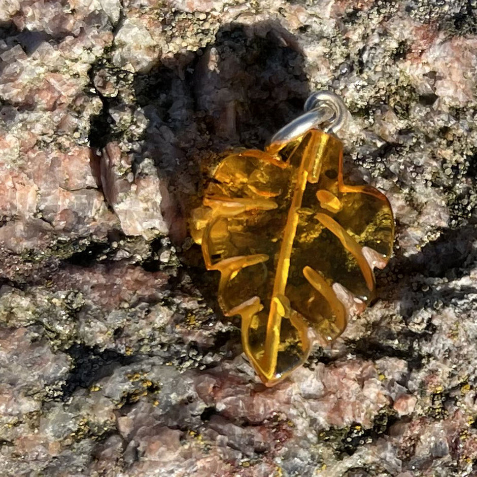 Bernstein Anhänger in Blattform – Einzelstück von Rügen