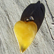 Einzigartiges Bernsteinherz in Butterscotch, Unikat