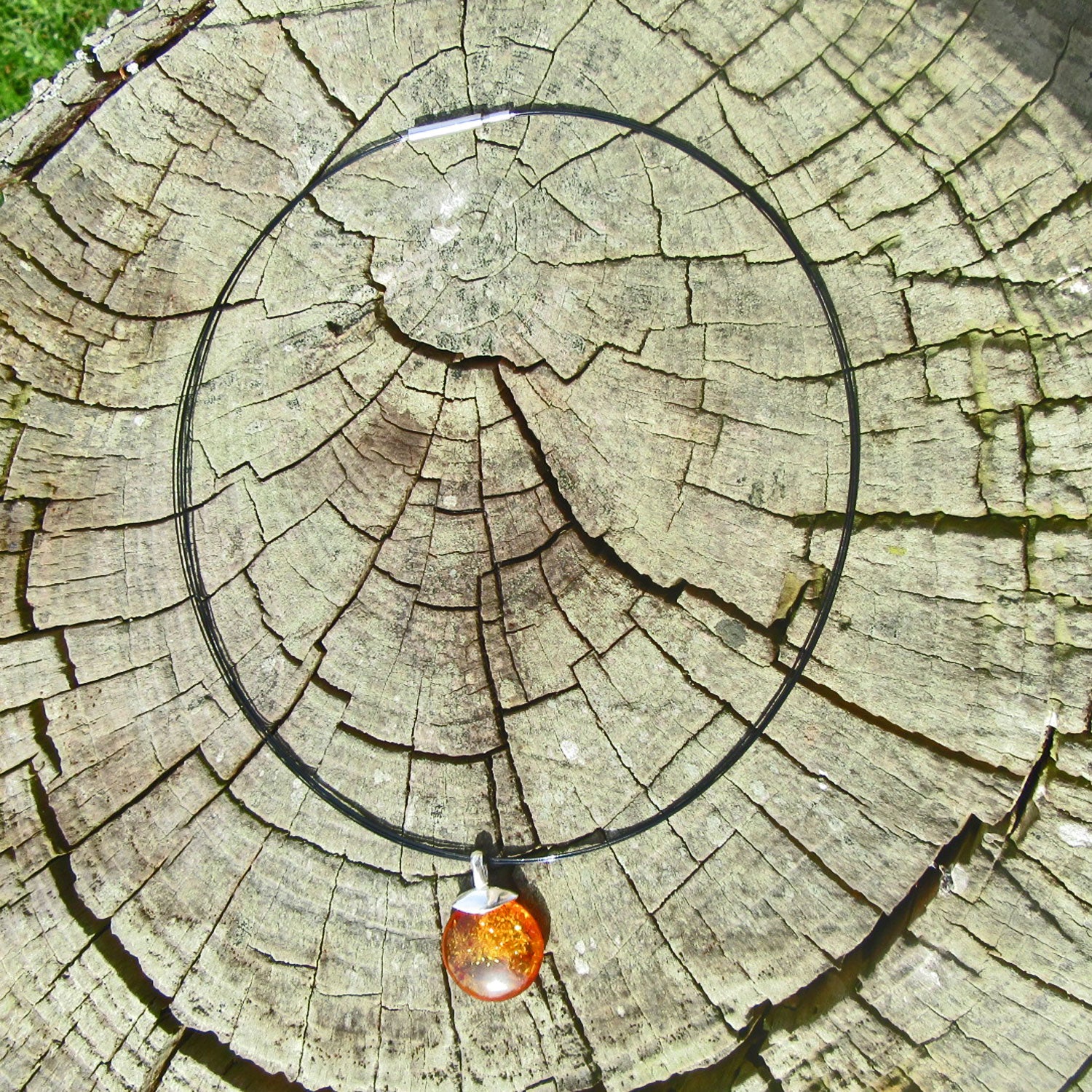 Einzigartige Bernsteinscheibe mit vielen Einschlüssen