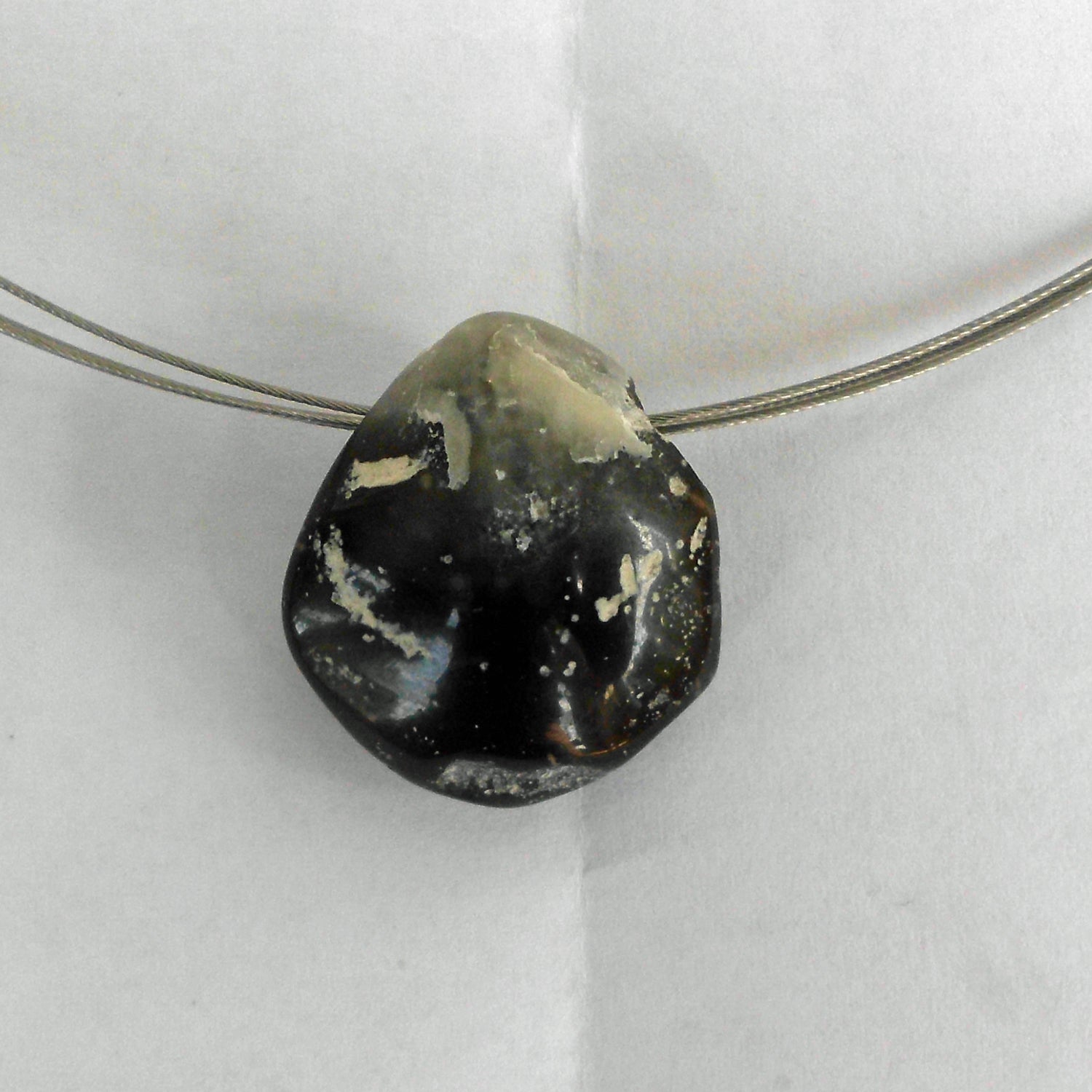 Polierter Brachiopode – Fossil von der Ostsee-Insel