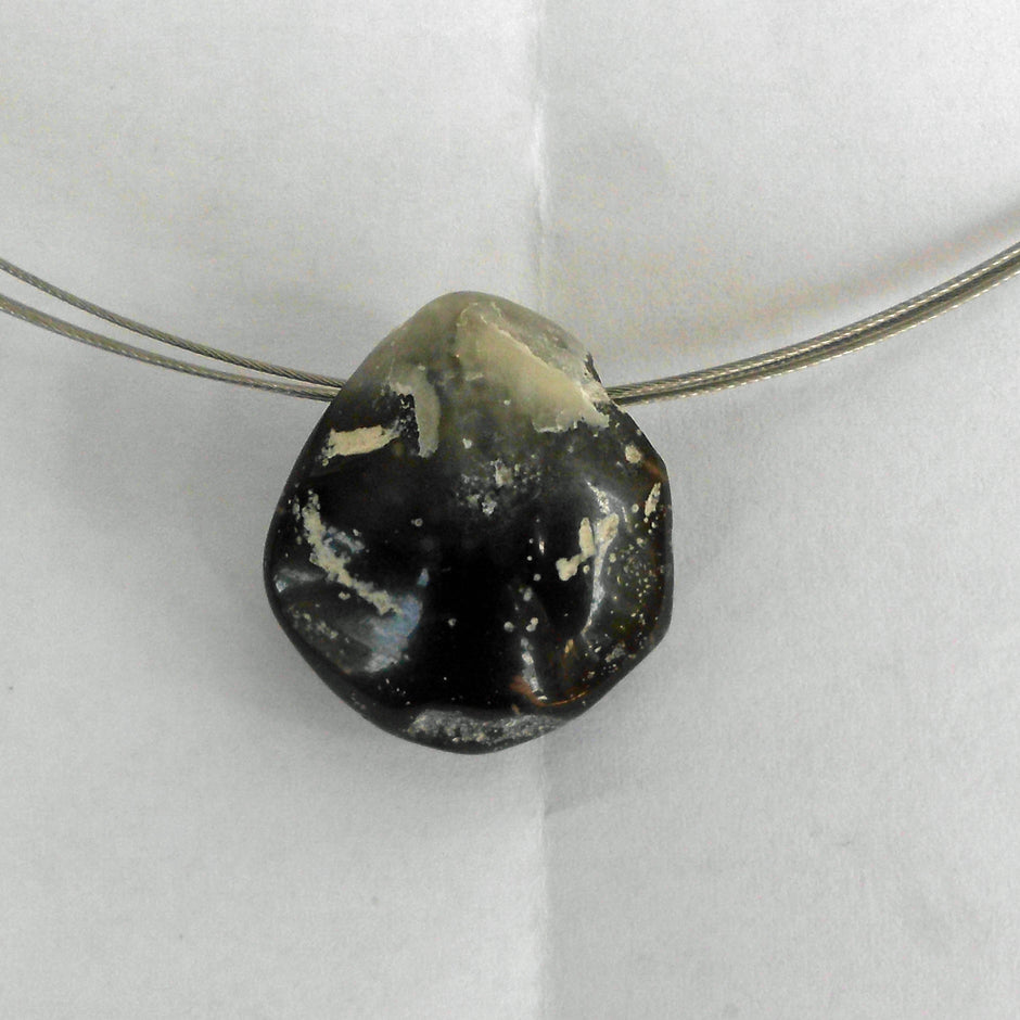 Polierter Brachiopode – Fossil von der Ostsee-Insel