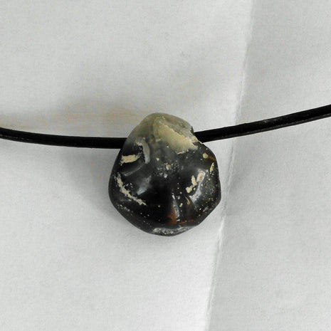Polierter Brachiopode – Fossil von der Ostsee-Insel