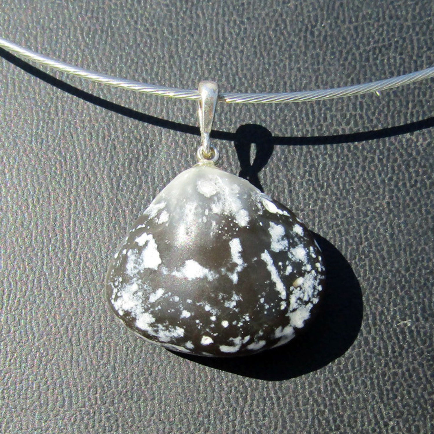 Polierter Brachiopode an Silberöse, Einzelstück