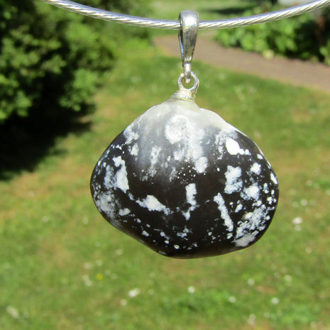 Polierter Brachiopode an Silberöse, Einzelstück