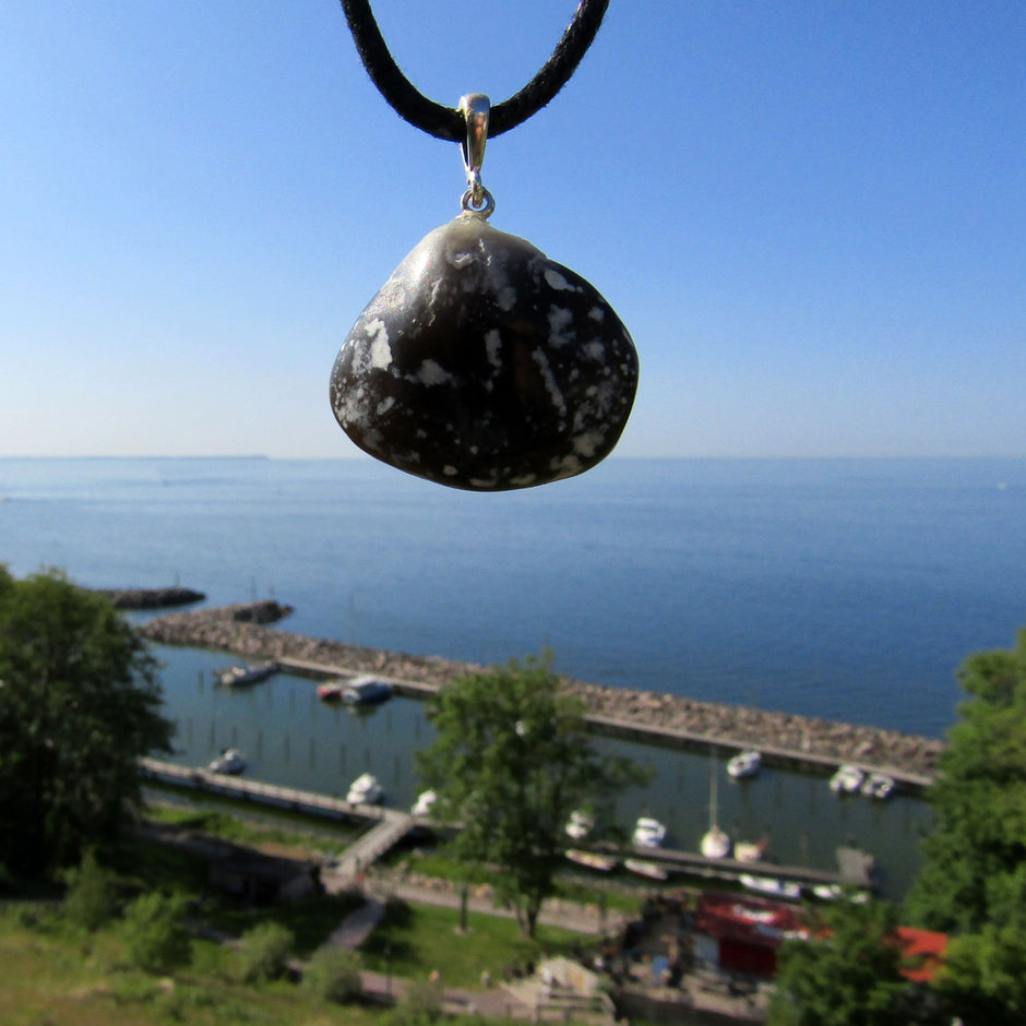 Polierter Brachiopode an Silberöse, Einzelstück