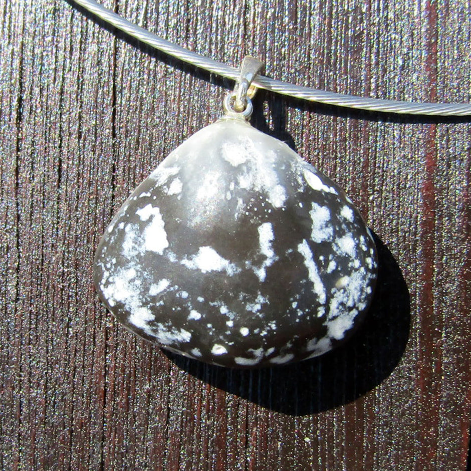 Polierter Brachiopode an Silberöse, Einzelstück