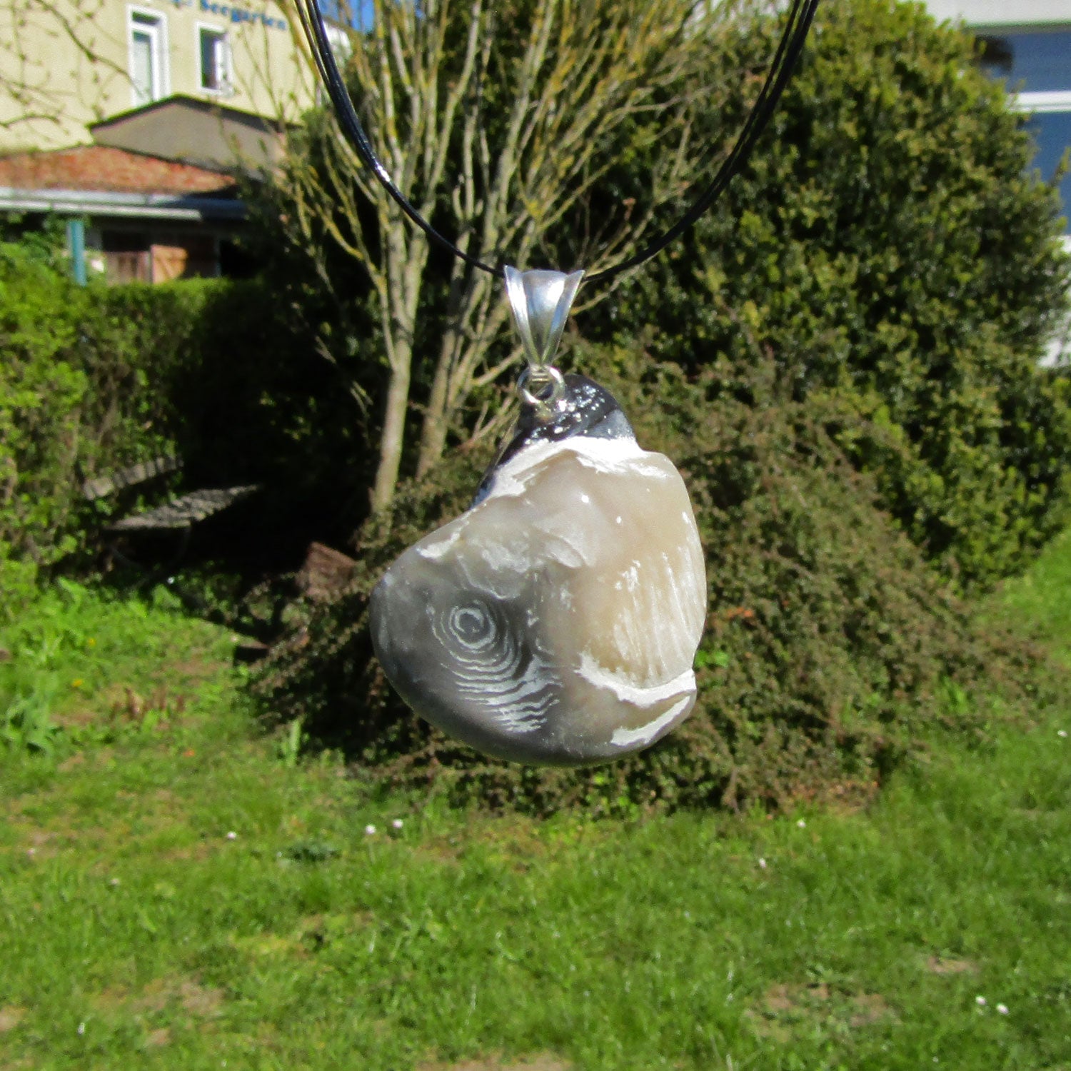 Fossil-Anhänger aus Dickmuschel mit Silberöse (925)