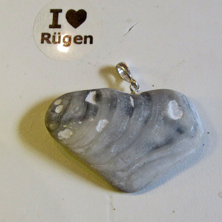 Einzelstück Anhänger aus versteinerter Dickmuschel mit Silberöse