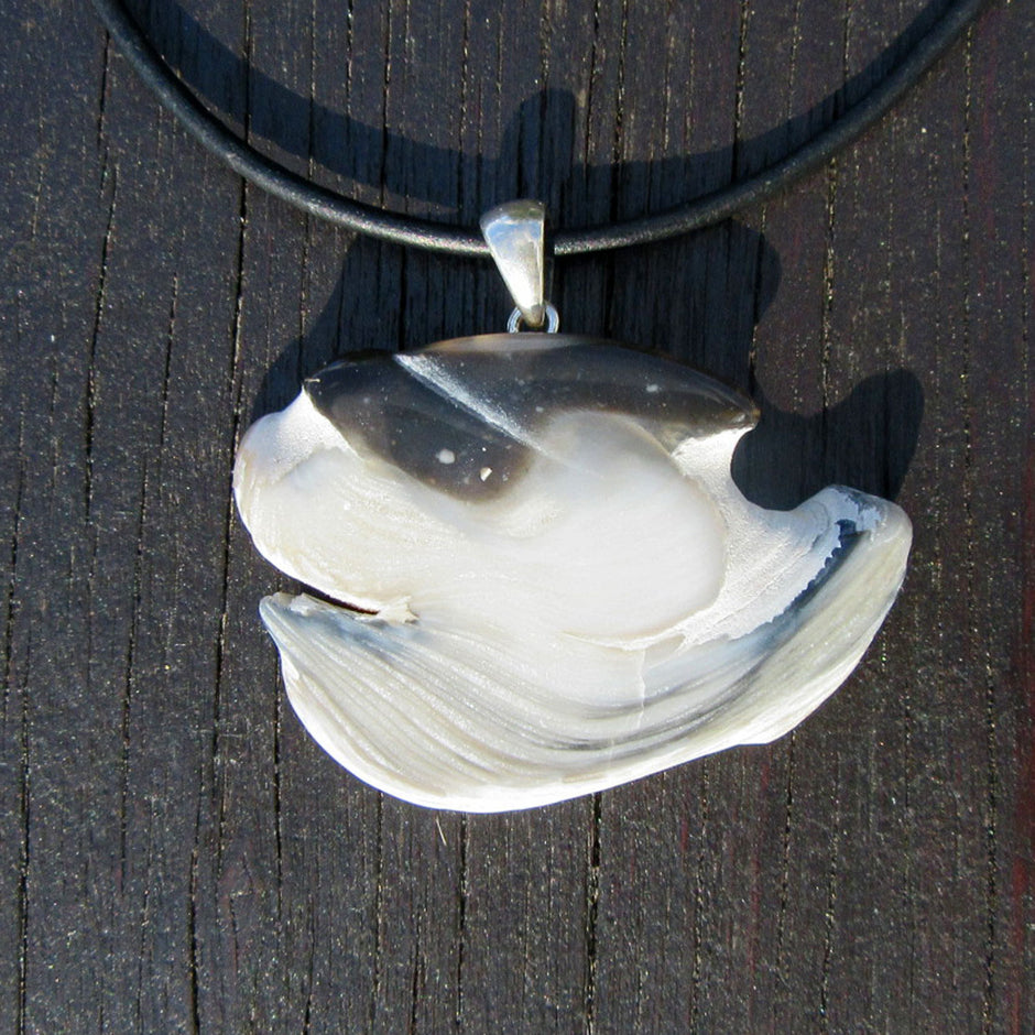 Einzelstück: Fossil-Anhänger aus versteinertem Muschelkalk