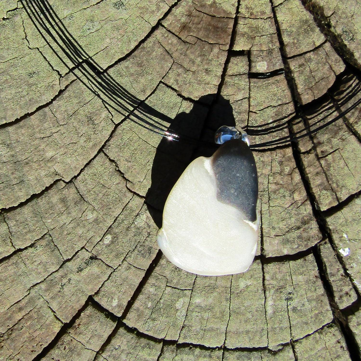 Fossil-Anhänger aus Dickmuschel mit Silberöse (925)