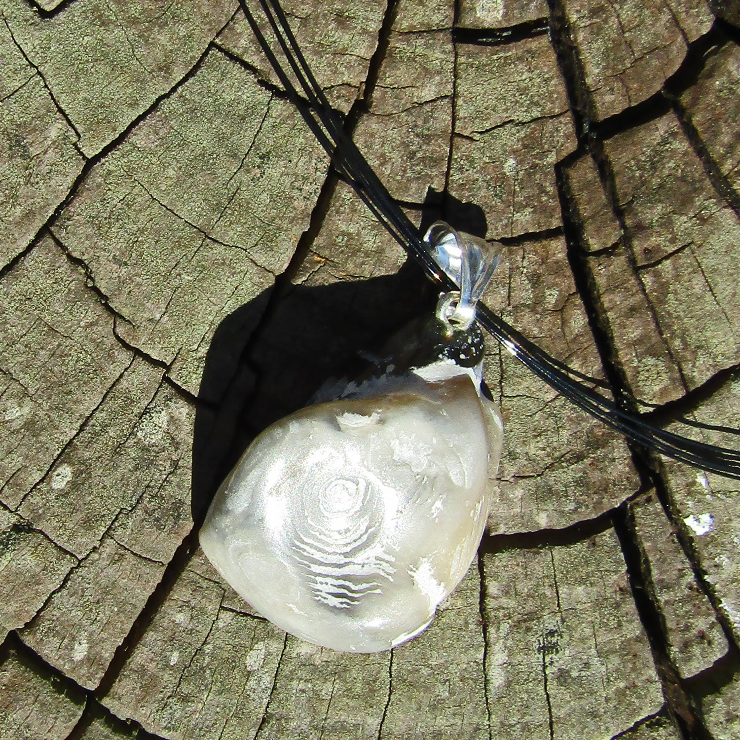 Fossil-Anhänger aus Dickmuschel mit Silberöse (925)