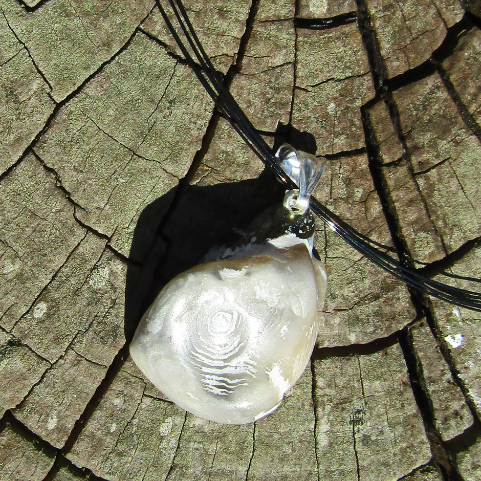 Fossil-Anhänger aus Dickmuschel mit Silberöse (925)