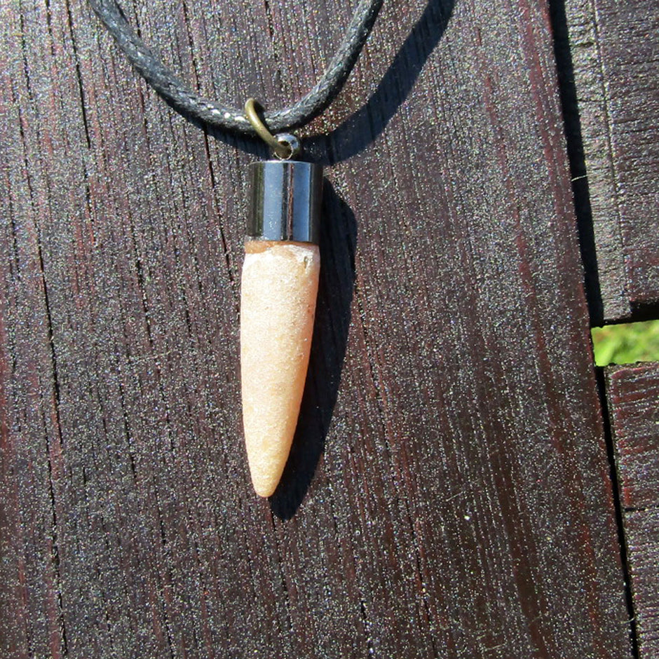 Donnerkeil (Belemnit) mit geschwärzter Metallkappe