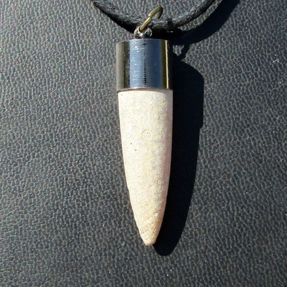 Belemnit mit geschwärzter Metallkappe, Einzelstück