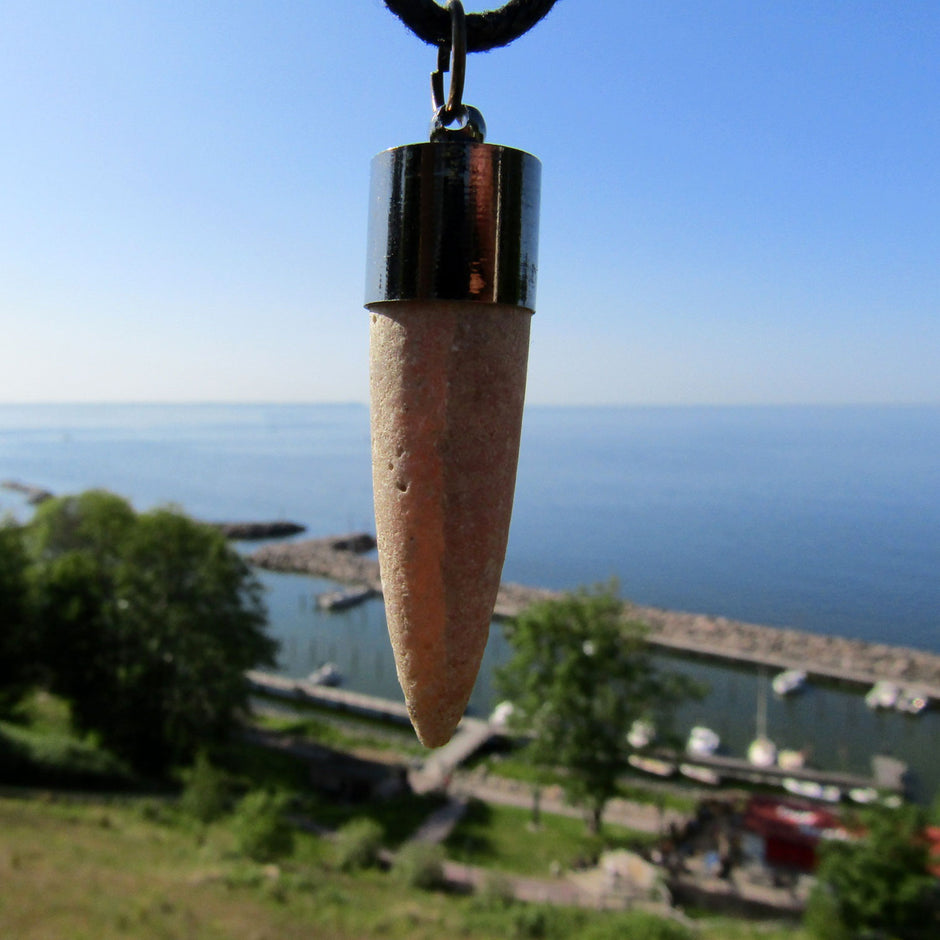 Belemnit mit geschwärzter Metallkappe, Einzelstück