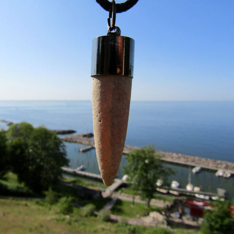 Belemnit mit geschwärzter Metallkappe, Einzelstück