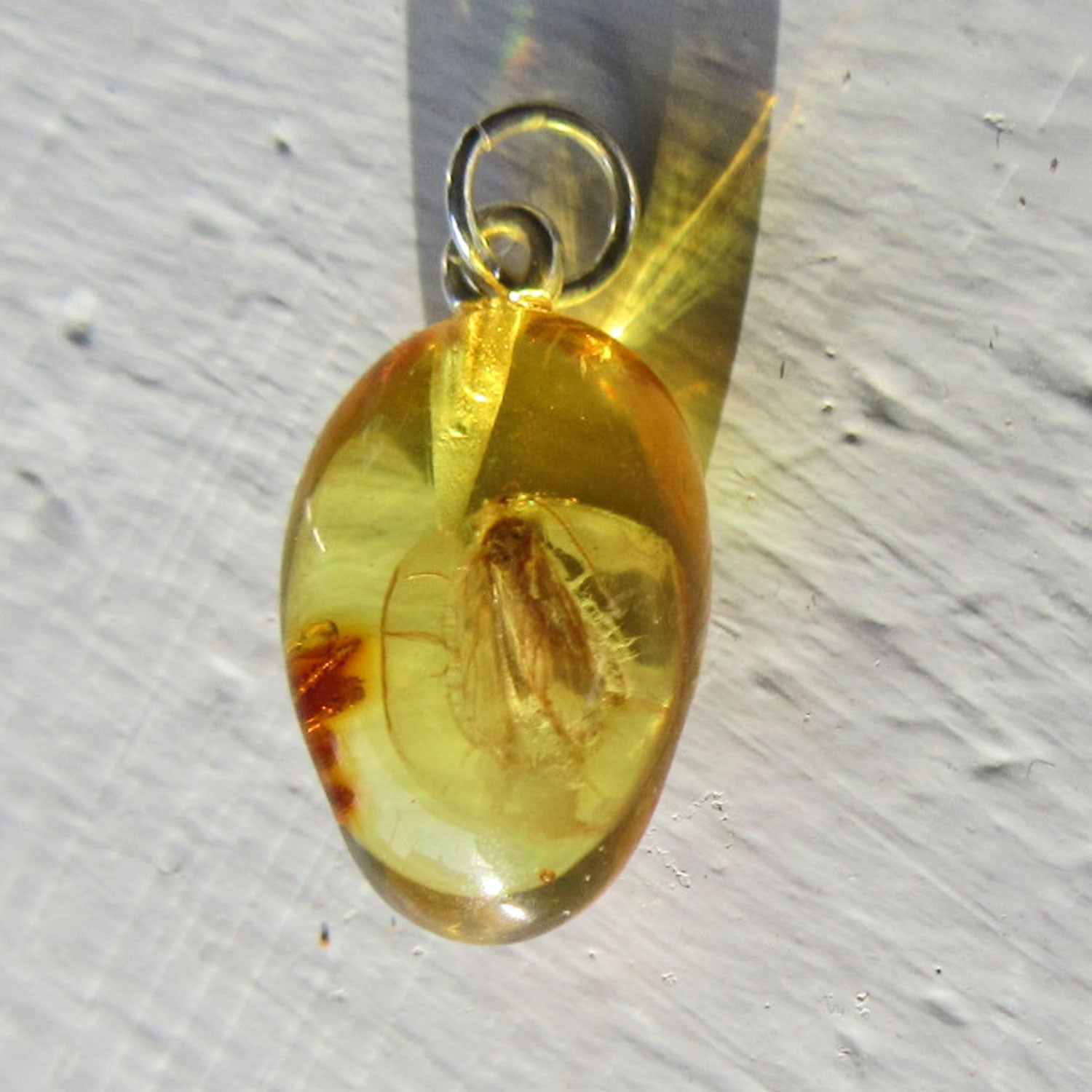 Kleiner Bernsteinanhänger mit Fliegen-Inkluse, Unikat