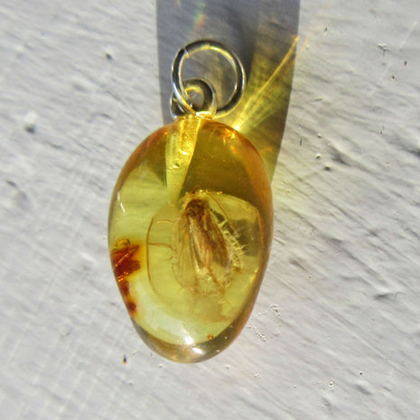 Kleiner Bernsteinanhänger mit Fliegen-Inkluse, Unikat