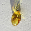 Kleiner Bernsteinanhänger mit Fliegen-Inkluse, Unikat