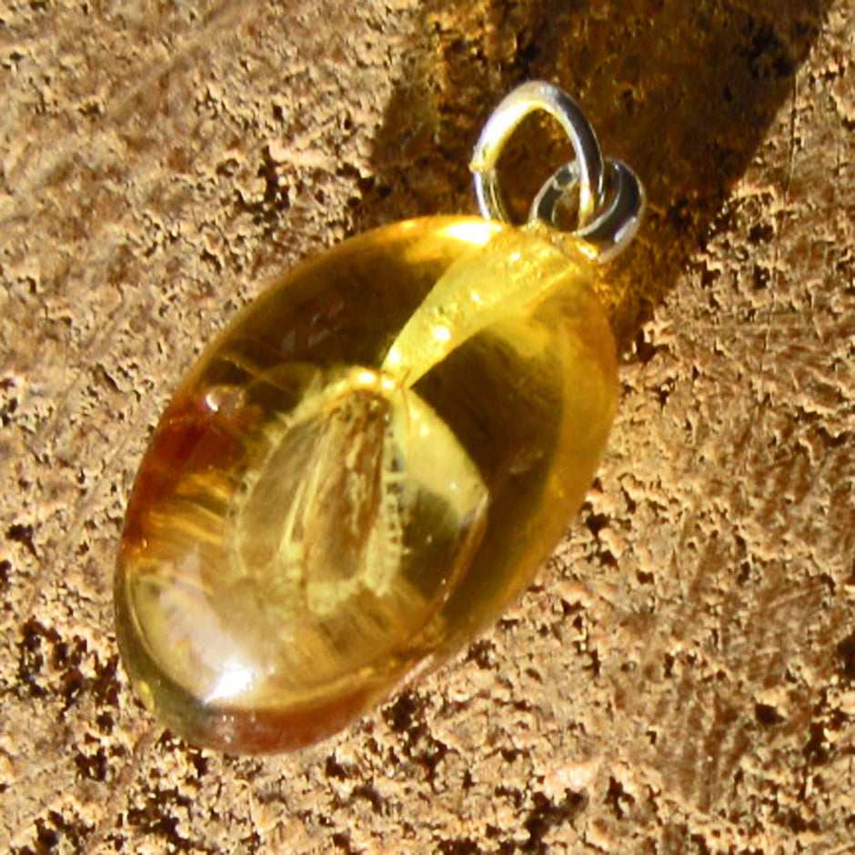Kleiner Bernsteinanhänger mit Fliegen-Inkluse, Unikat