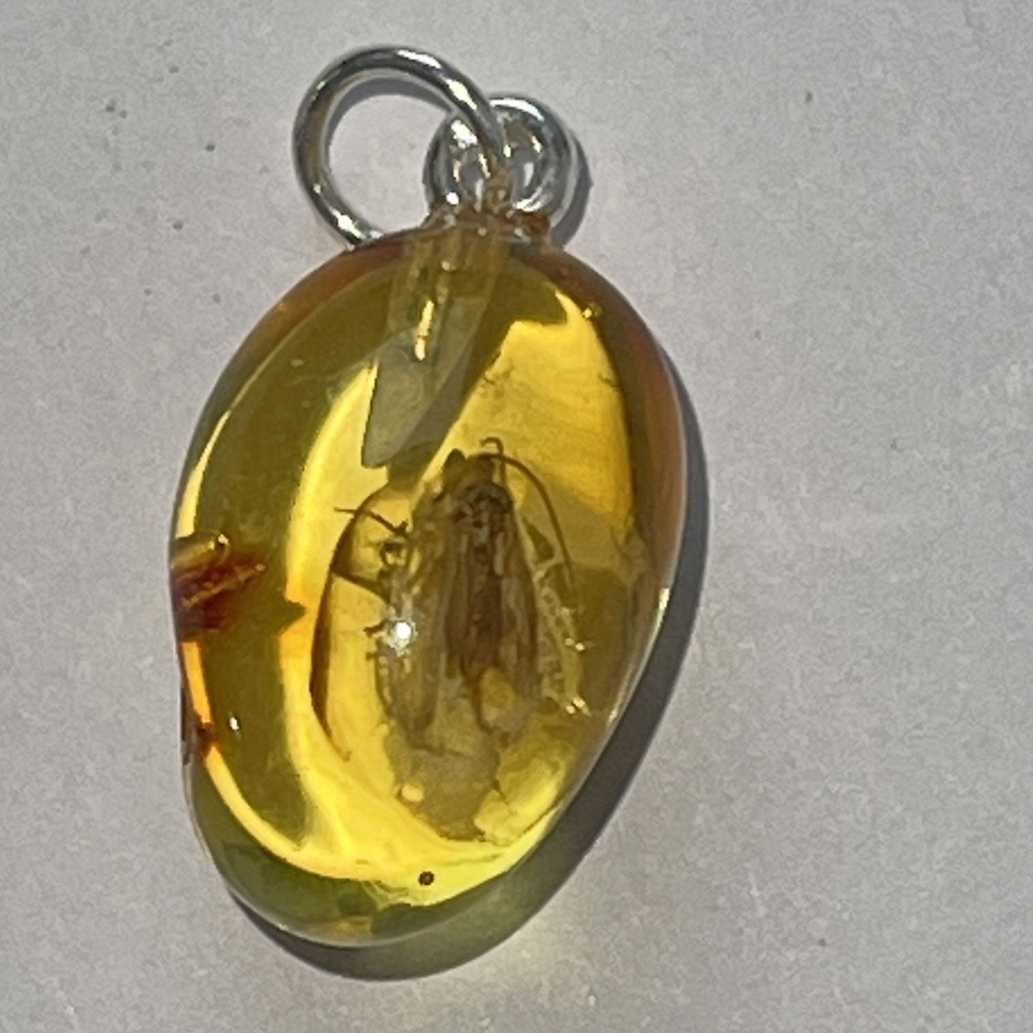 Kleiner Bernsteinanhänger mit Fliegen-Inkluse, Unikat